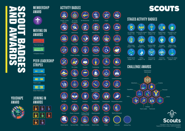 badge_poster_scouts_pdf_1